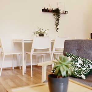 Schoendorf Hostel - Virtual Reception